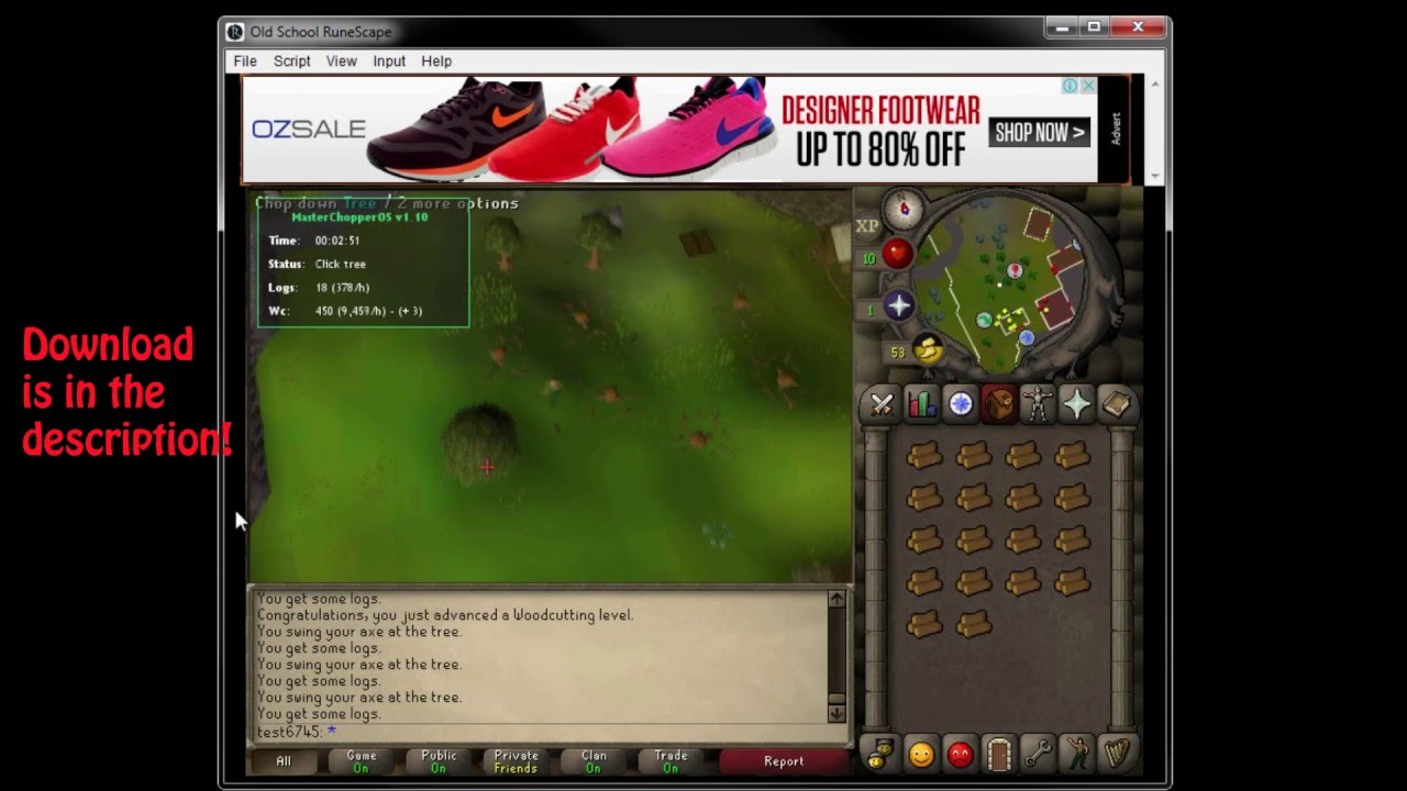Powerbot osrs client